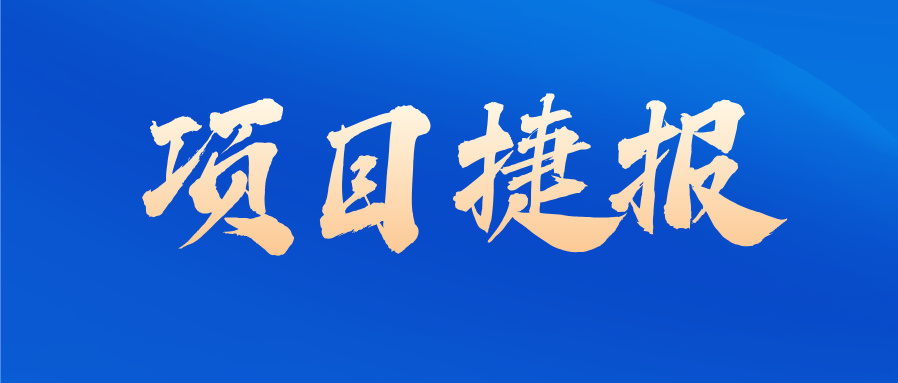 市场份额第一加持!数语科技再签多个大型数据治理项目